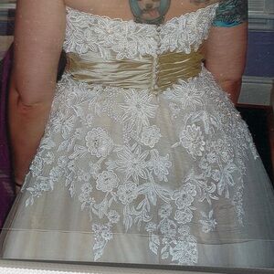 Elegant Lace Overlay Dress in Cream and Gold